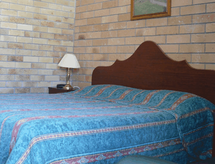 Dragon & Phoenix Motel - Accommodation Gold Coast 3