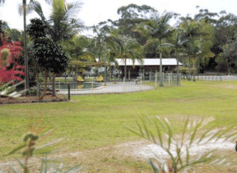 Minnie Water Holiday Park - Gold Coast 4U 5