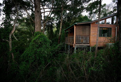 Ravensbourne Forest Chalets - Accommodation Gold Coast 4