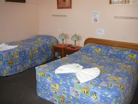 Civic Motel Grafton - Accommodation Gold Coast 2