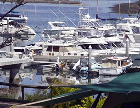 Soldiers Point Holiday Park - Accommodation Gold Coast 3