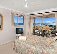 Allez Pacific Rose - Accommodation Gold Coast