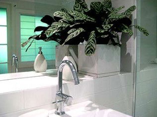 Annalilli - Accommodation Gold Coast 2