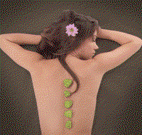Je Suis Femme - Accommodation Gold Coast