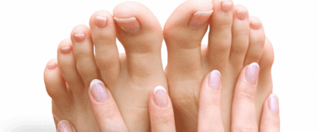 Ella Bache - Accommodation Gold Coast 1