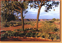 Kings Creek Station - Accommodation Gold Coast 1