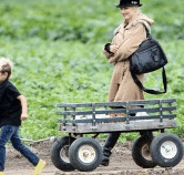 Perth City Farm Organic Markets - Accommodation Gold Coast