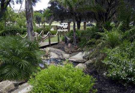 King Carnival - Accommodation Gold Coast 1