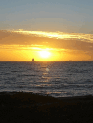Kidogo Arthouse - Accommodation Gold Coast 1