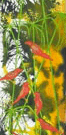 Jahroc Mill Gallery - Accommodation Gold Coast 3