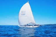 Manly Harbour Village - Accommodation Gold Coast