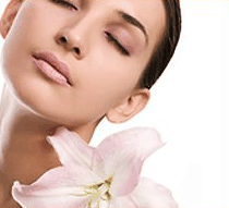 Stephanies Spa Retreat - Accommodation Gold Coast