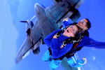 Simply Skydive - Accommodation Gold Coast 2