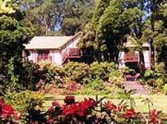 Delvin Health Retreat - Accommodation Gold Coast 0