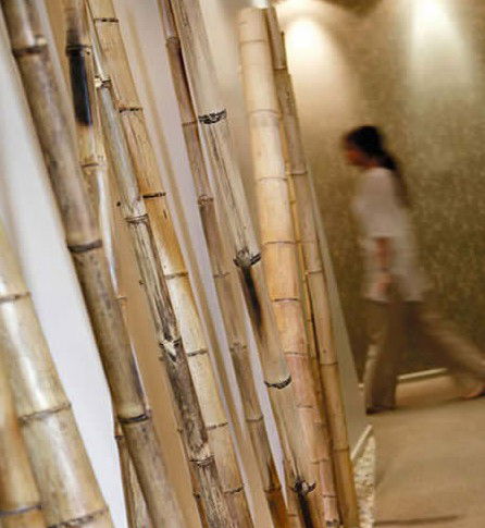 Spa Nirvana - Accommodation Gold Coast 0