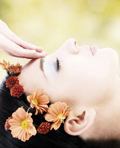 Retreat In The Suburbs - Accommodation Gold Coast 2