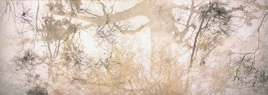 Dianne Tanzer Gallery & Projects - Accommodation Gold Coast 3