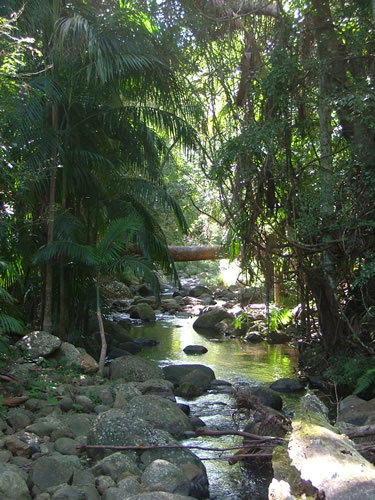 Thunderbird Park - Accommodation Gold Coast 2