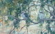 Australian Guild Of Realist Artists - thumb 2