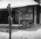 The Baldessin Press - Accommodation Gold Coast