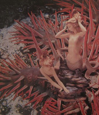 Bower Gallery - Accommodation Gold Coast 1