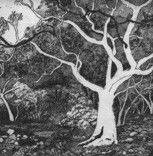 Tacit Contemporary Art - Gold Coast 4U 0
