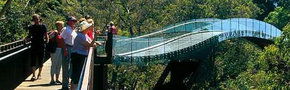 Kings Park Botanic Gardens - Accommodation Gold Coast 1