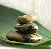 The Nature of Balance - Accommodation Gold Coast