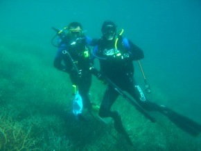 Pelican Charters - Accommodation Gold Coast 1