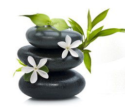 Tea House Spa Sauna - Accommodation Gold Coast 0