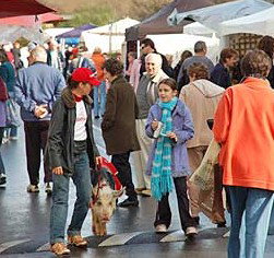 Arts Nunawading Inc - Accommodation Gold Coast 0