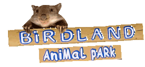 Birdland Animal Park - Accommodation Gold Coast 0