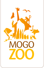 Mogo Zoo - 1 Gold Coast 0