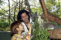 Taronga Zoo - Accommodation Gold Coast 2