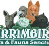 Wirrimbirra Sanctuary - Accommodation Gold Coast