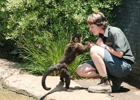 National Zoo & Aquarium - Accommodation Gold Coast 1