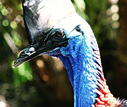 Northern Brisbane And Moreton Bay QLD Accommodation Gold Coast