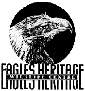Eagles Heritage - Accommodation Gold Coast 0