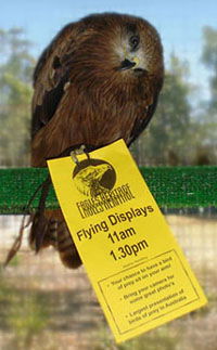 Eagles Heritage - Accommodation Gold Coast 1
