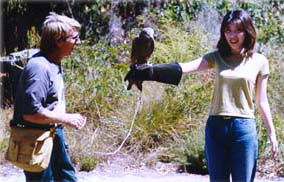 Eagles Heritage - Accommodation Gold Coast 2