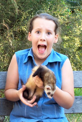 Peel Zoo - Accommodation Gold Coast 1