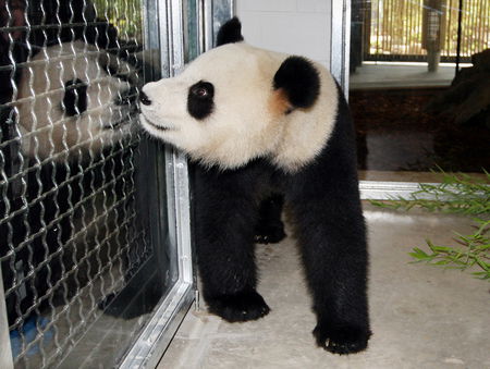 Adelaide Zoo - Accommodation Gold Coast 3