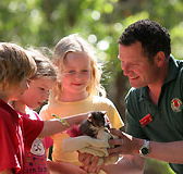 Cleland Wildlife Park - Accommodation Gold Coast