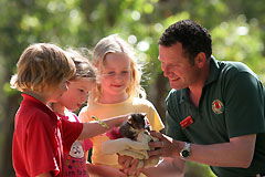 Cleland Wildlife Park - Accommodation Gold Coast 0