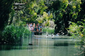 Cleland Wildlife Park - Accommodation Gold Coast 1