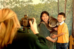 Cleland Wildlife Park - Accommodation Gold Coast 2