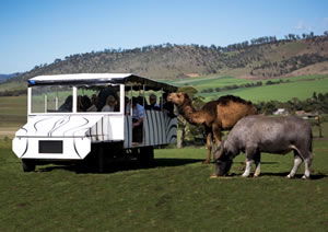 Zoo Doo Wildlife Park - Accommodation Gold Coast 2