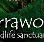 Warrawong Wildlife Park - Accommodation Gold Coast