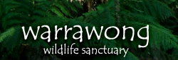Warrawong Wildlife Park - Accommodation Gold Coast 0