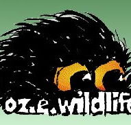 OZe Wildlife - Accommodation Gold Coast